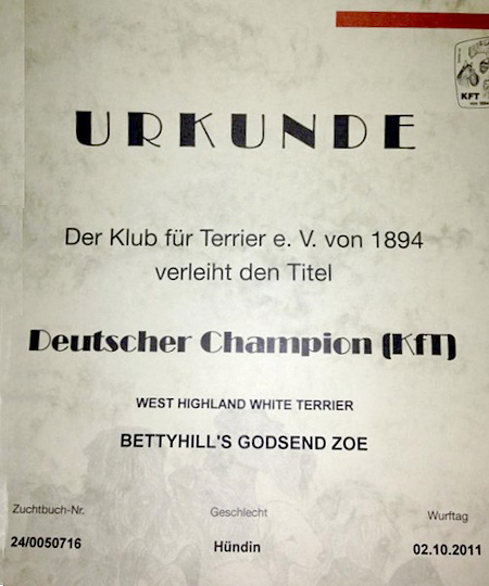 Zoes Urkunden :: Deutscher Champion KfT